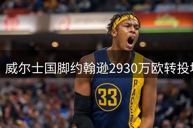 威尔士国脚约翰逊2930万欧转投埃弗顿