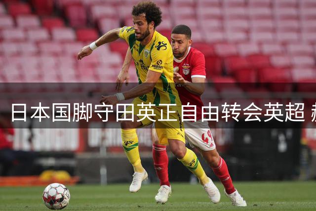日本国脚守田英正自由转会英超 赫尔城签下欧冠经验丰富中场